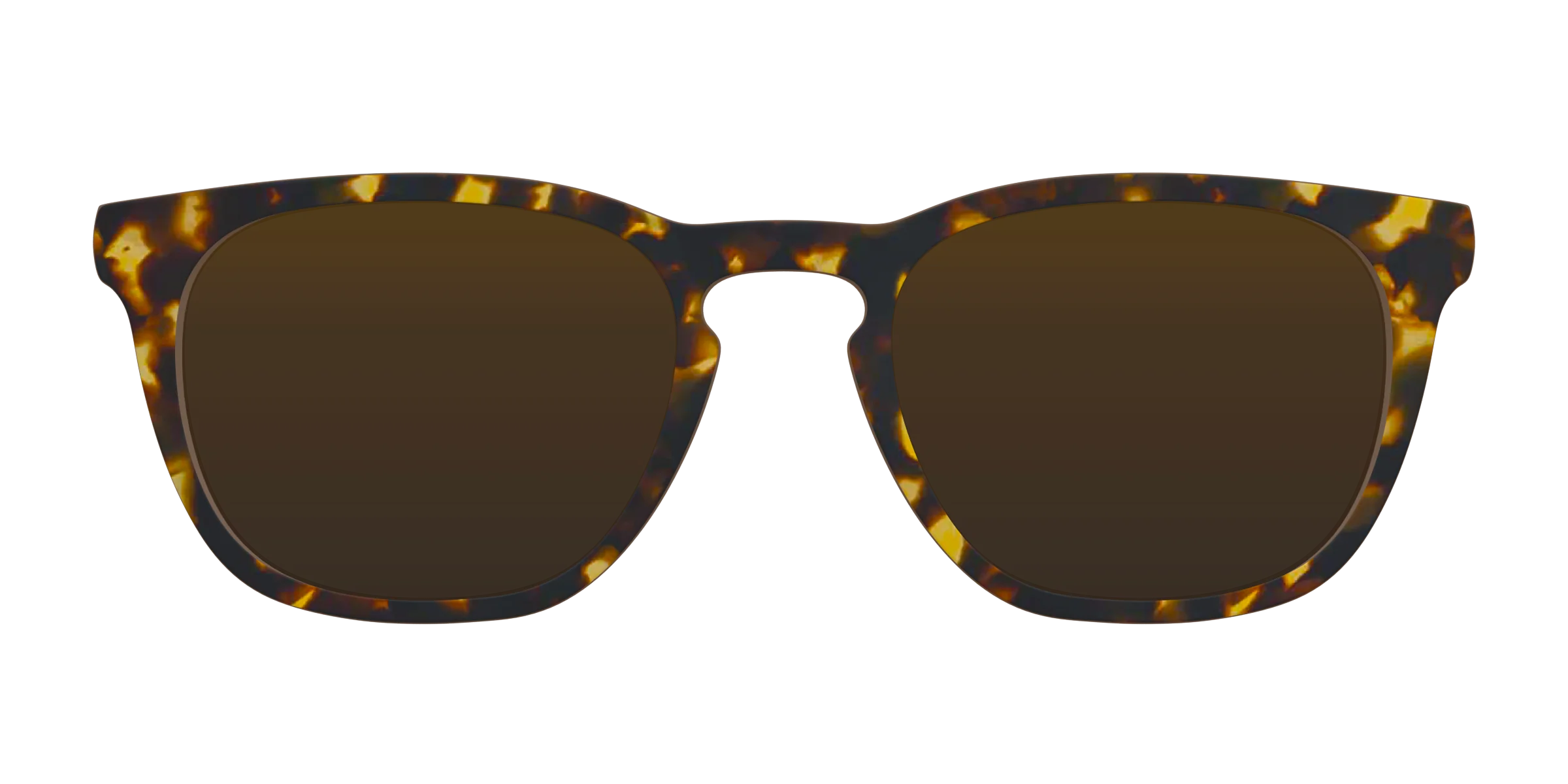 The Polarized Tortoise Sun Top - Image 4