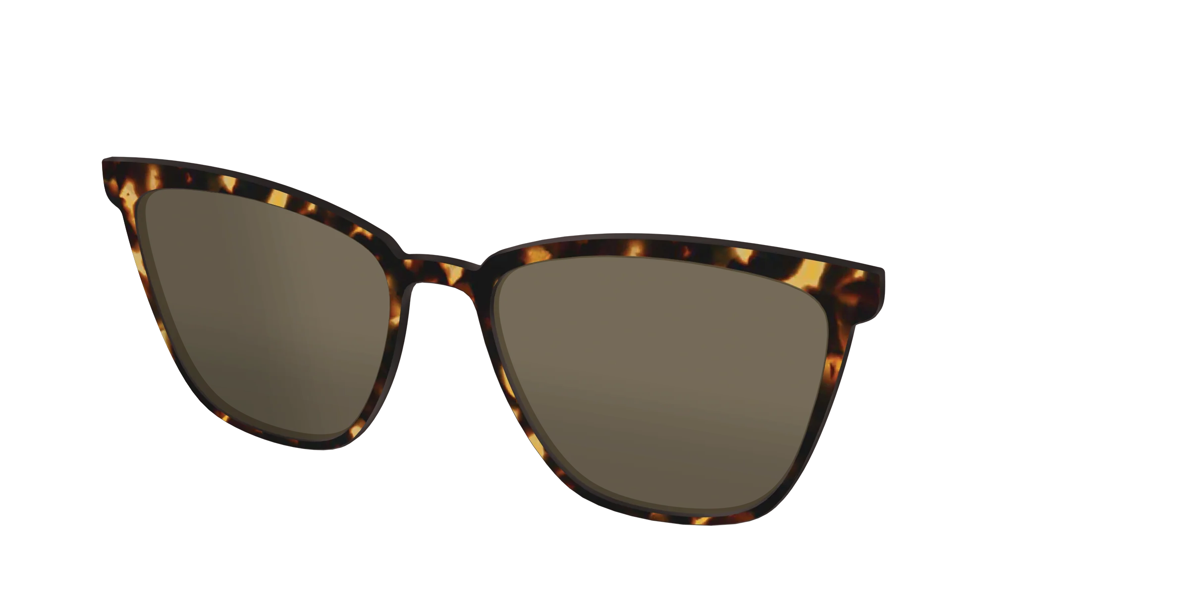 The Polarized Tortoise Sun Top - Image 40