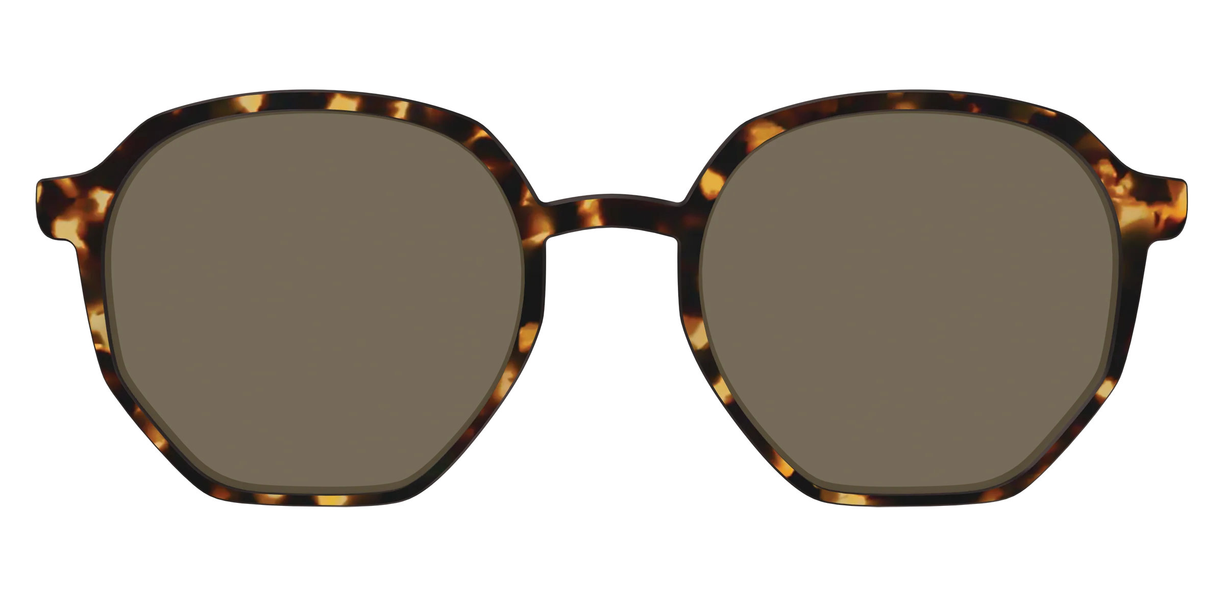 The Polarized Tortoise Sun Top - Image 41