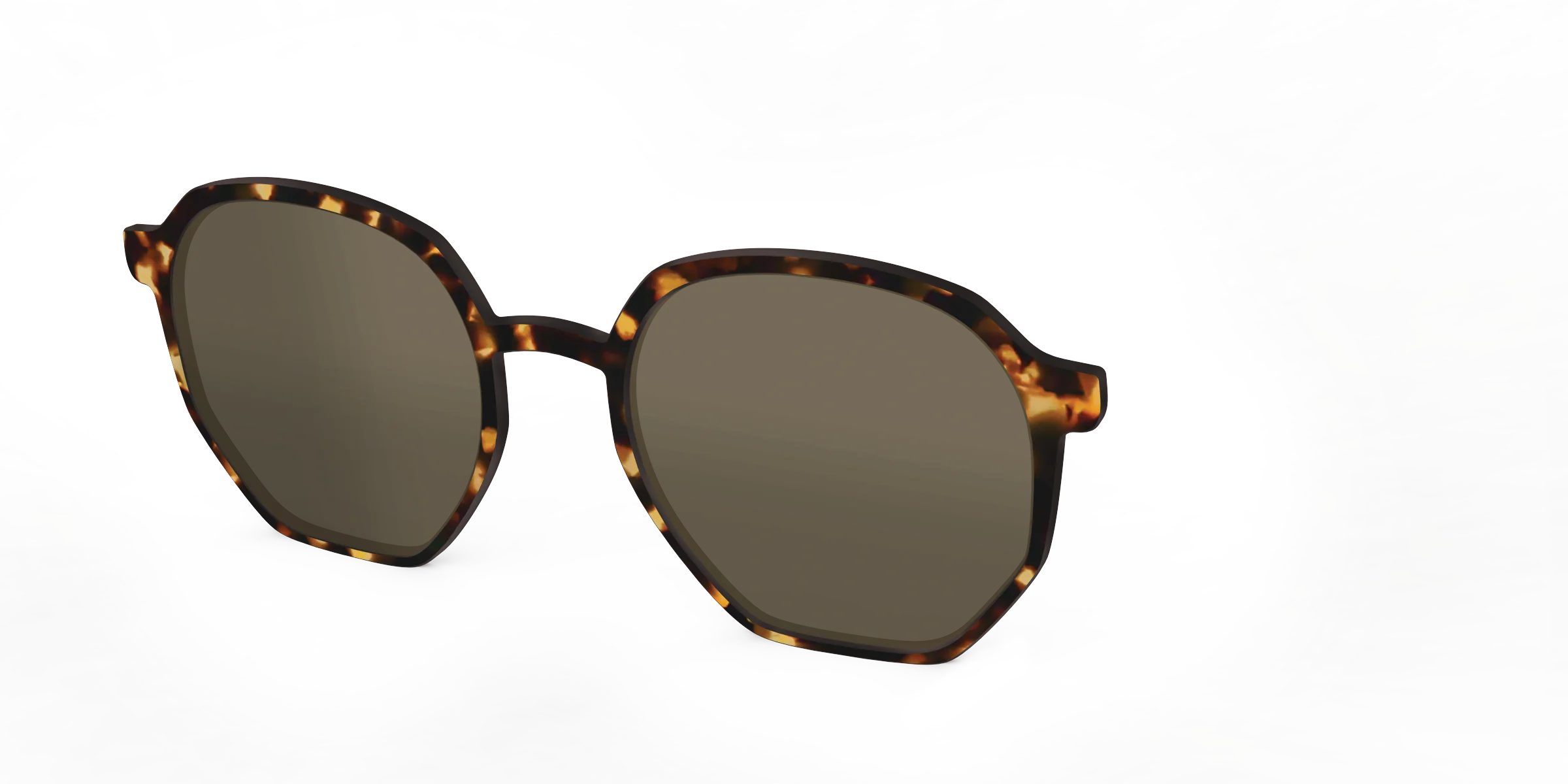 The Polarized Tortoise Sun Top - Image 42
