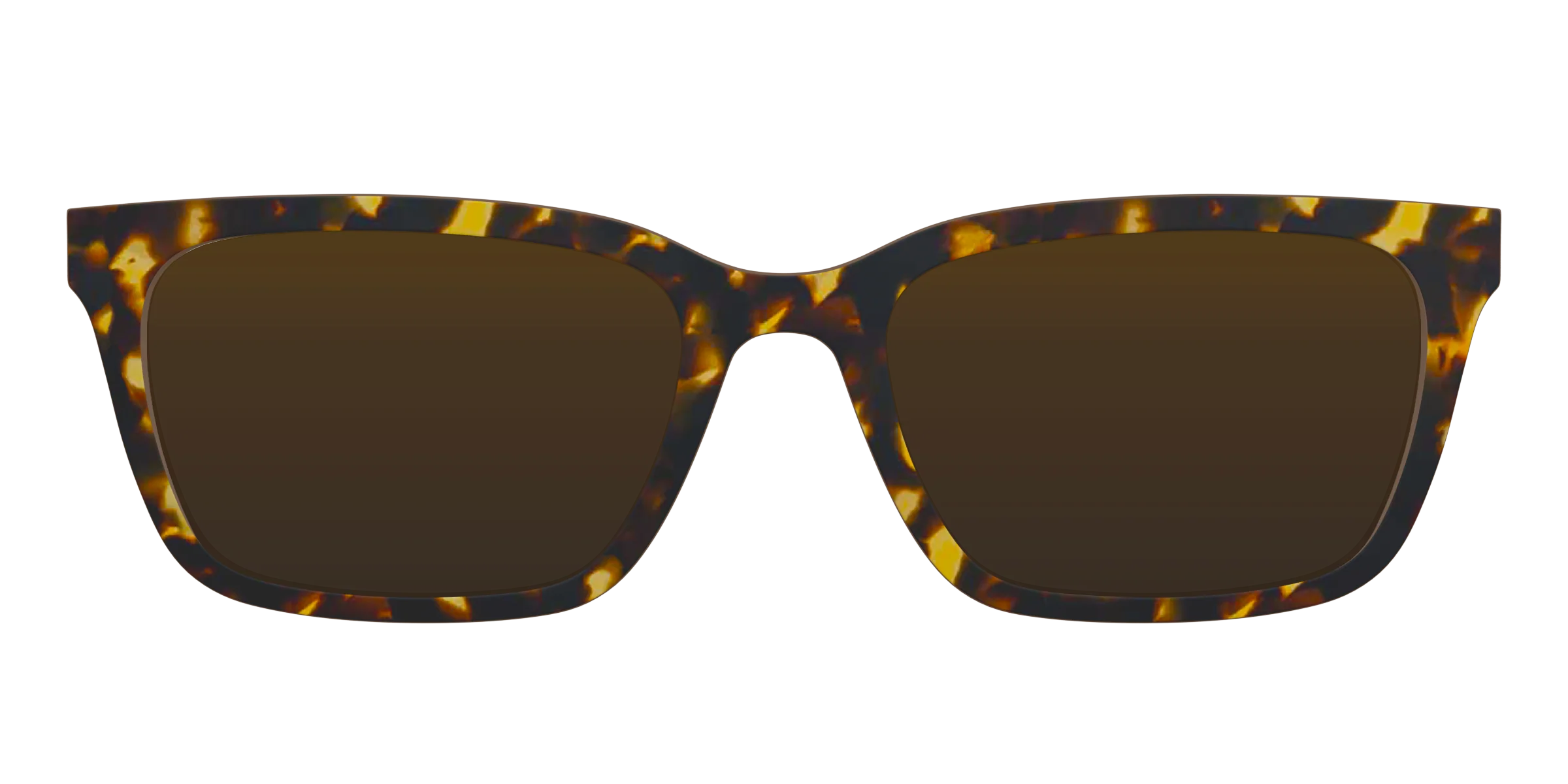 The Polarized Tortoise Sun Top - Image 5