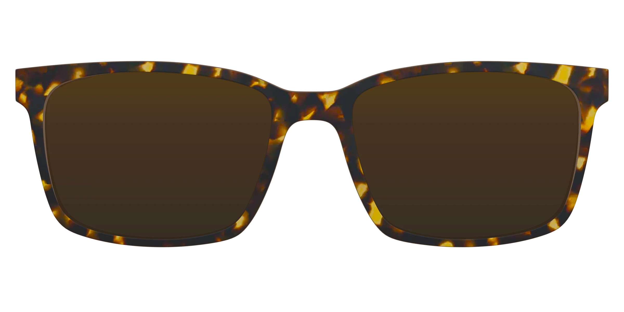 The Polarized Tortoise Sun Top - Image 6