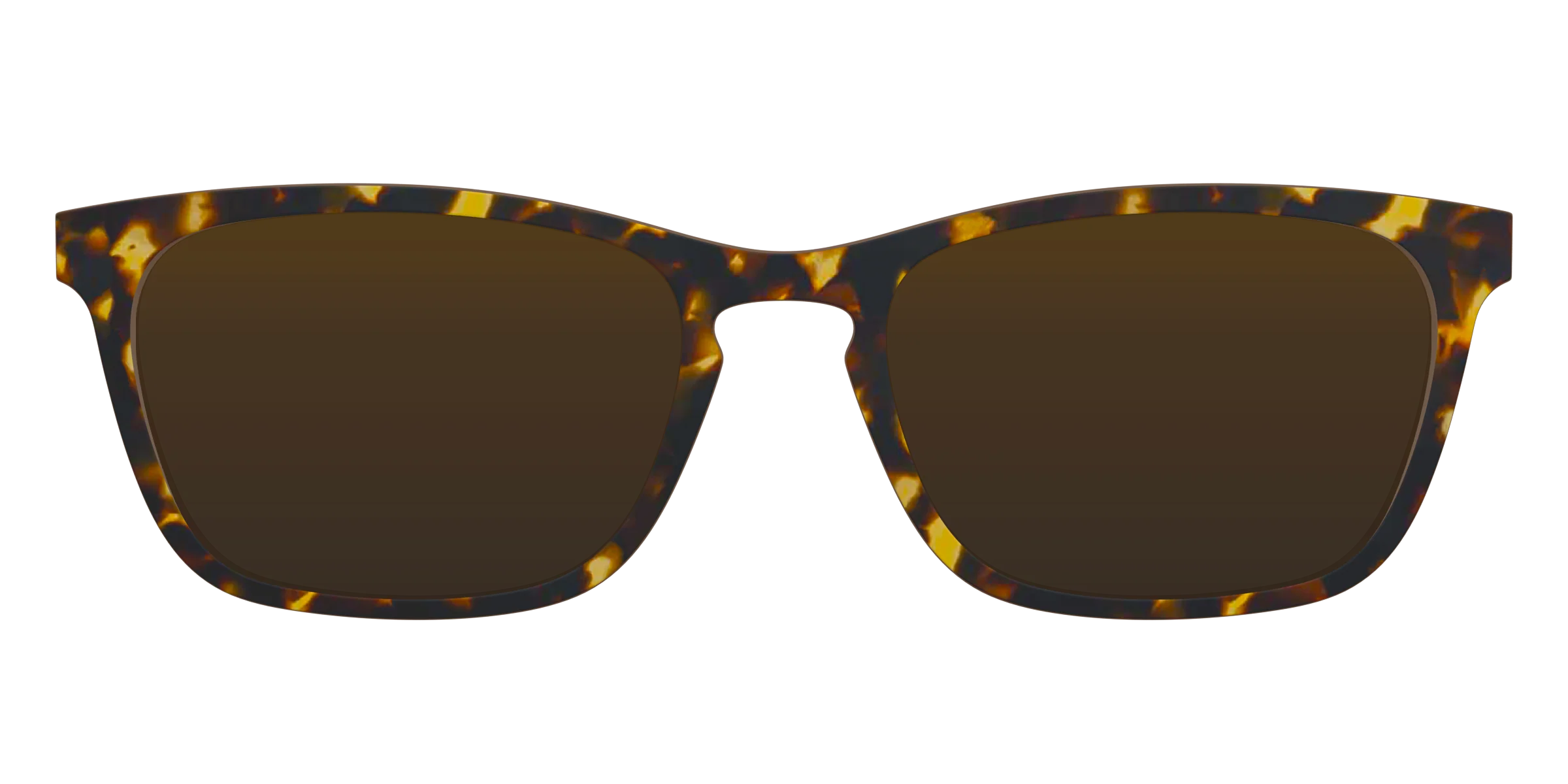 The Polarized Tortoise Sun Top - Image 7