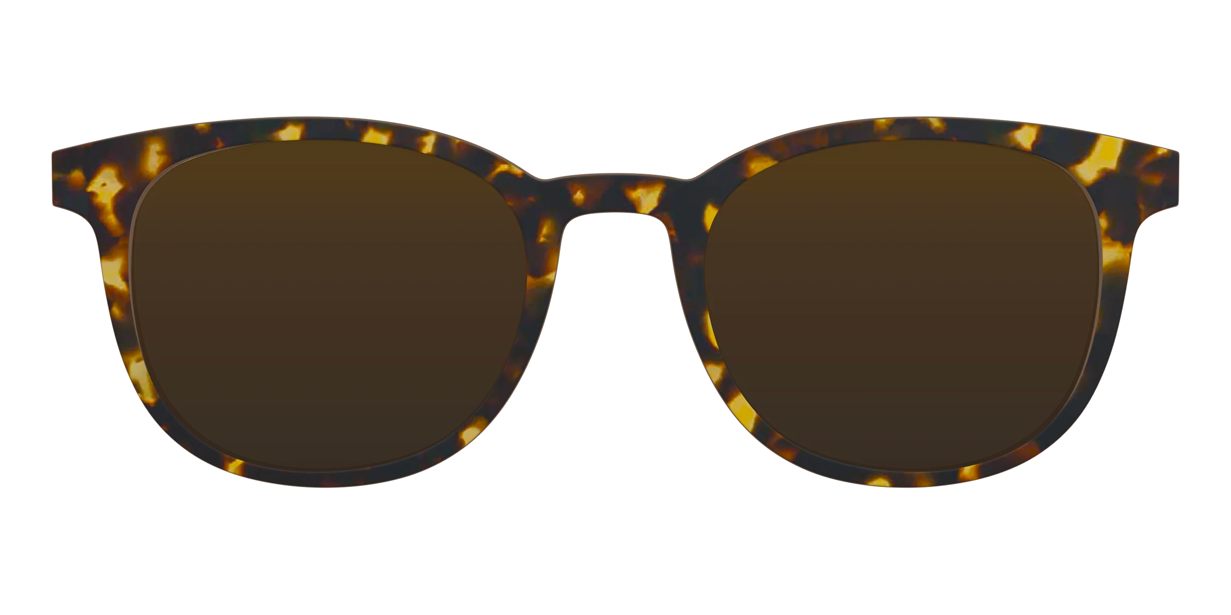 The Polarized Tortoise Sun Top - Image 8