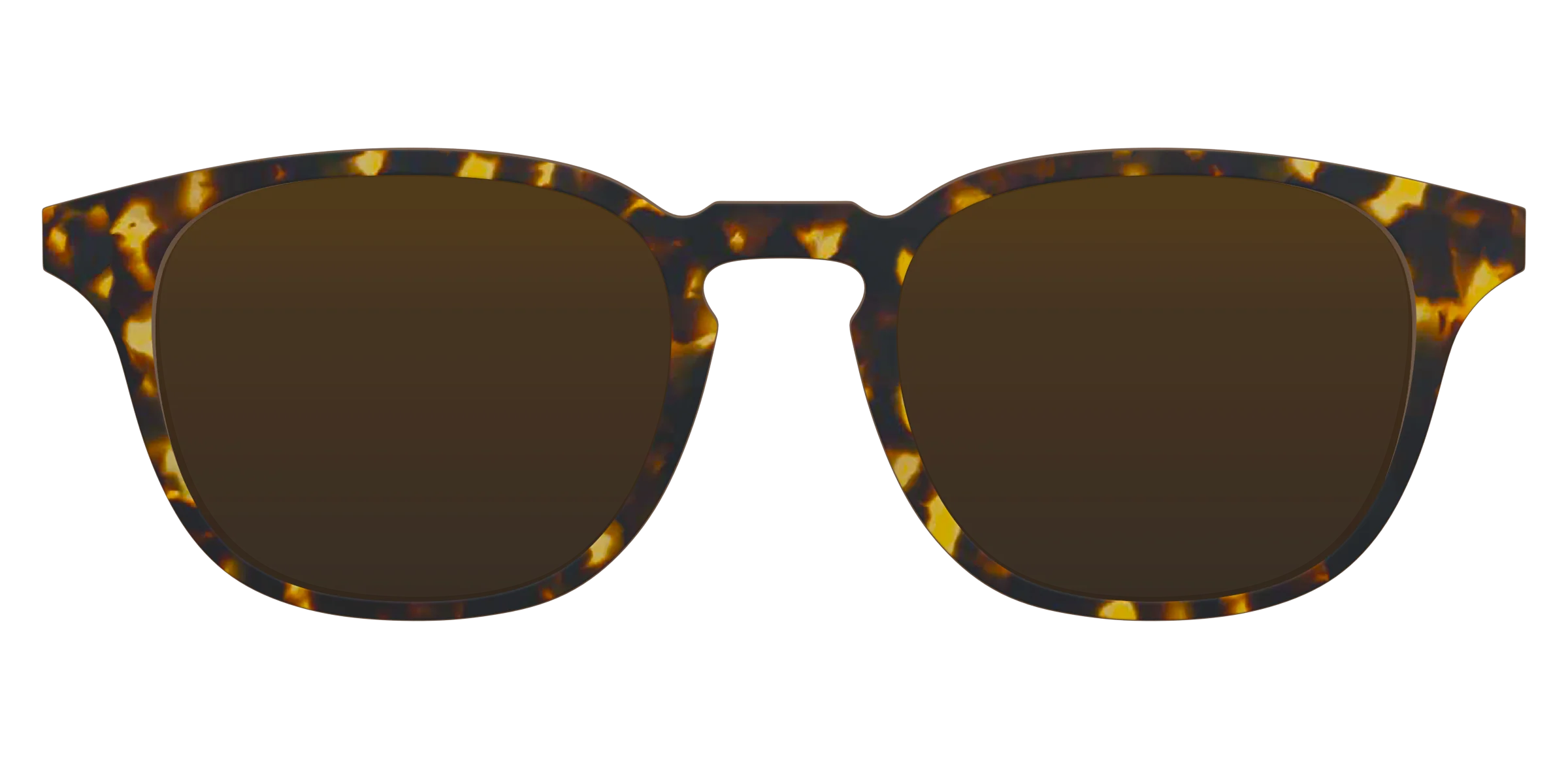 The Polarized Tortoise Sun Top - Image 9