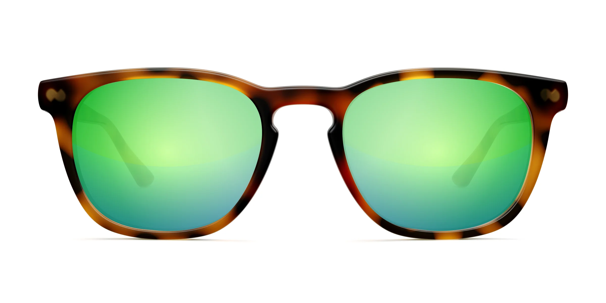 The Twain - Tortoise - Image 10