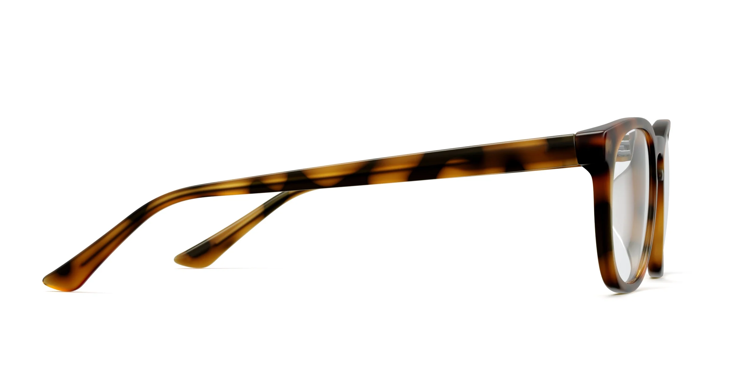 The Twain - Tortoise - Image 3