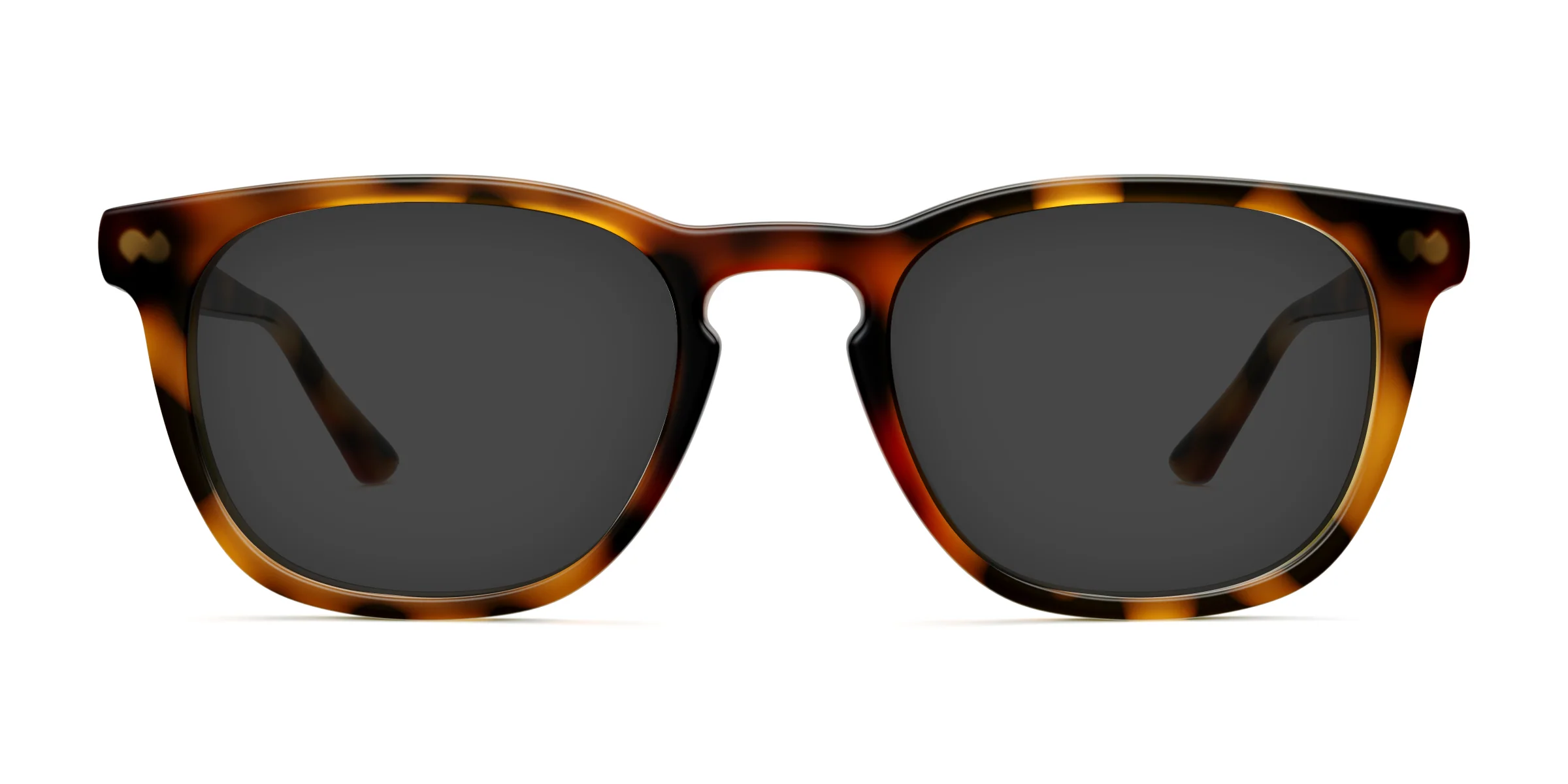 The Twain - Tortoise - Image 4