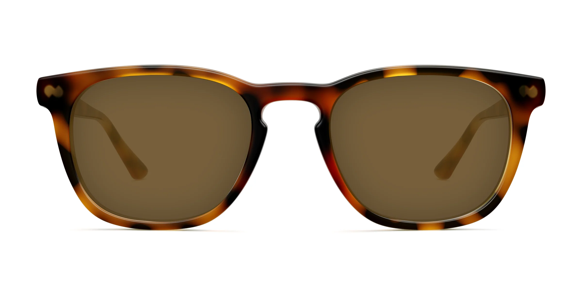 The Twain - Tortoise - Image 5