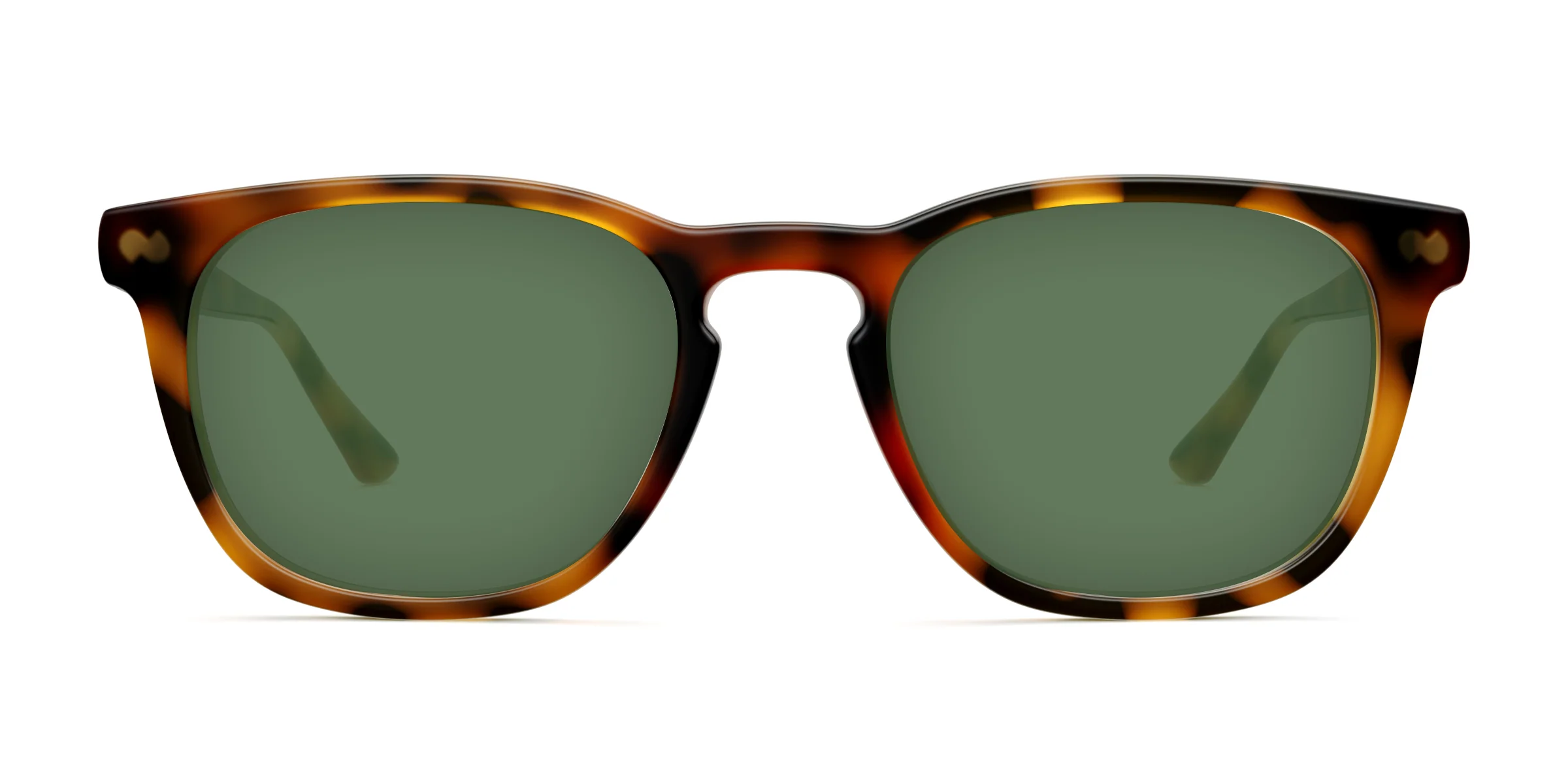 The Twain - Tortoise - Image 6