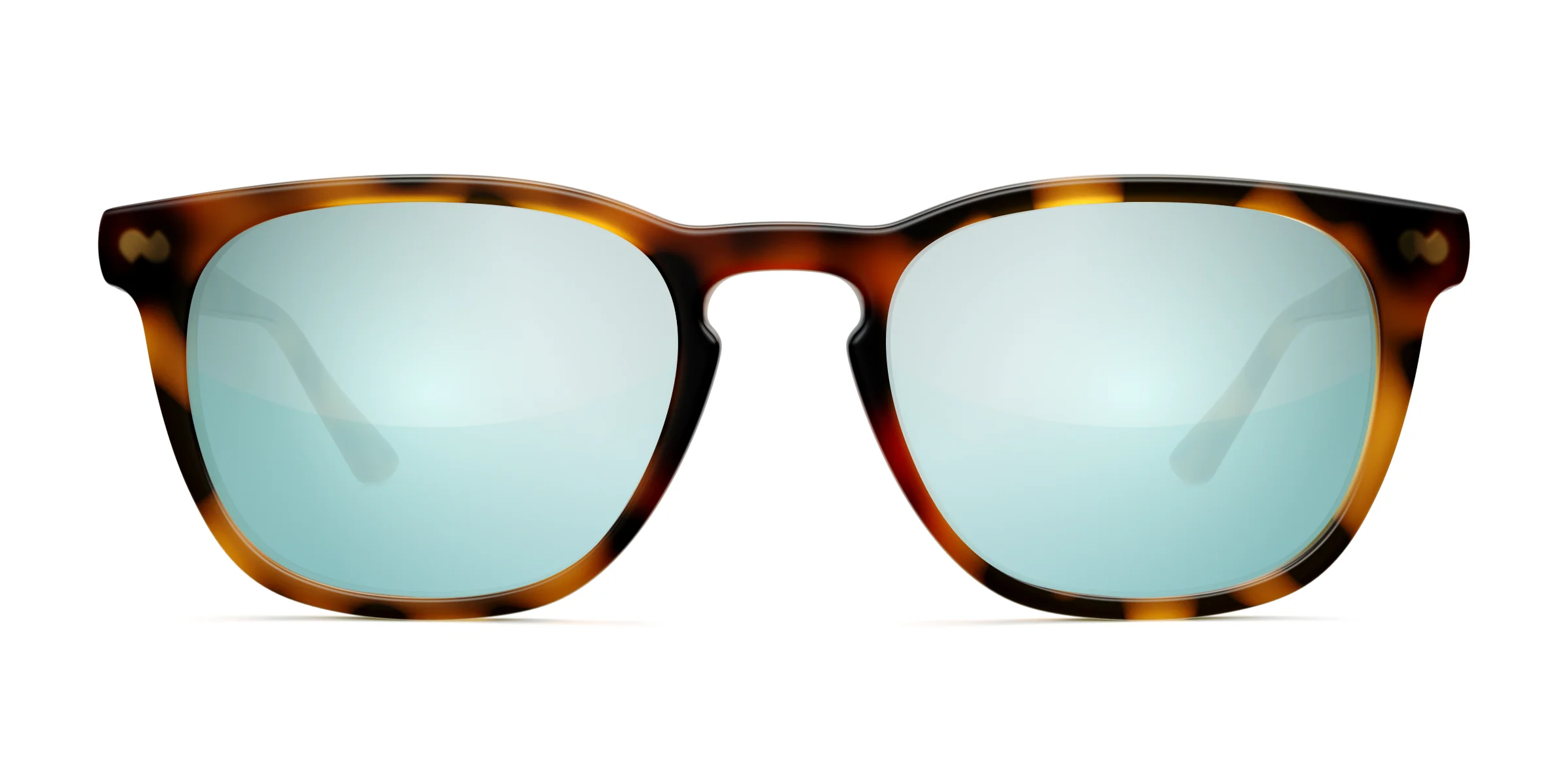 The Twain - Tortoise - Image 7