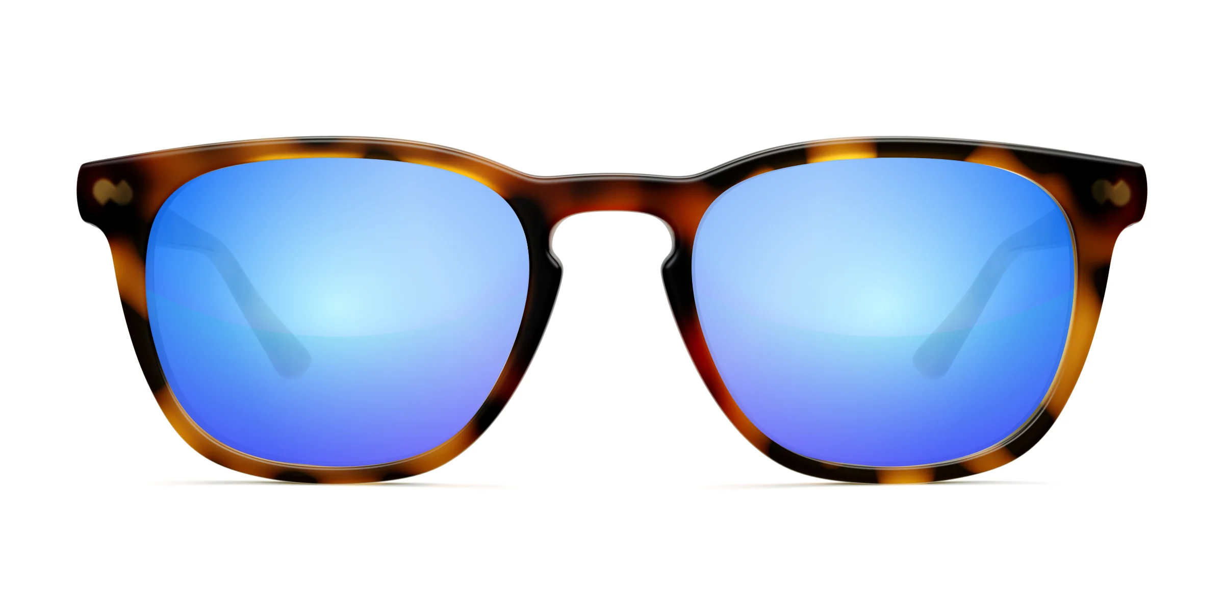 The Twain - Tortoise - Image 9